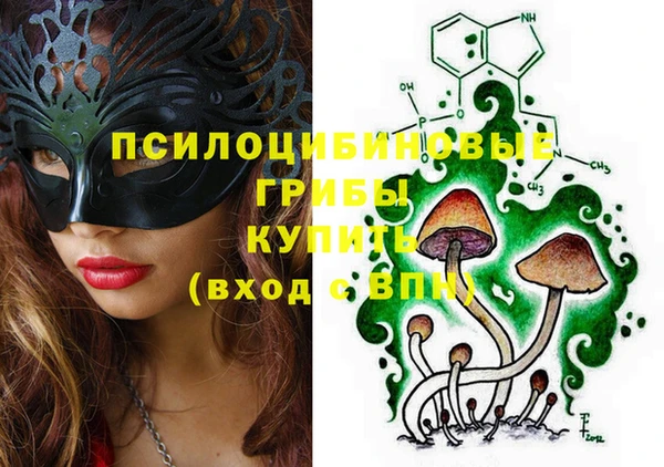 герыч Алексин