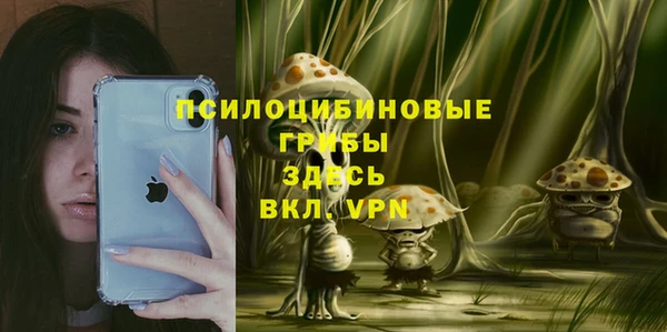 соль ск Алзамай